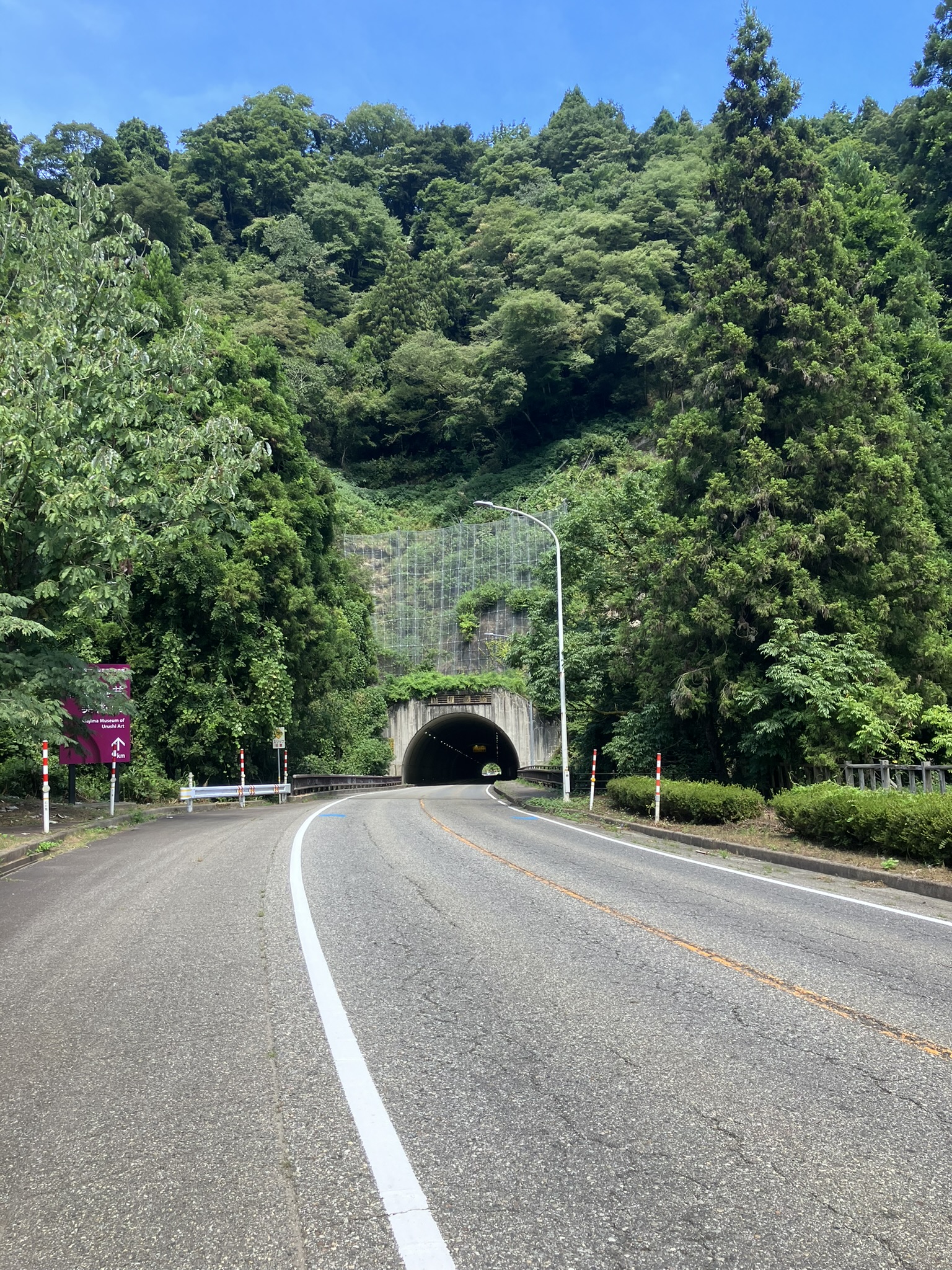 12.森のトンネル 12.森のトンネル 12.森のトンネル 12.森のトンネル ZX